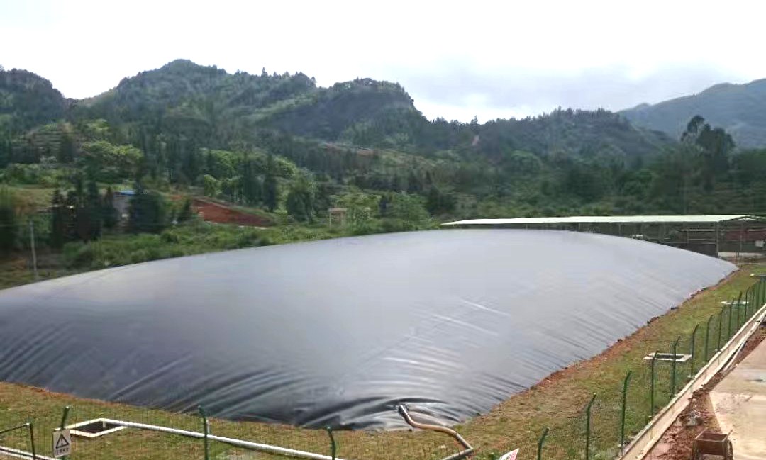 規(guī)模化肉牛養(yǎng)殖場(chǎng)黑膜沼氣池防滲一體化施工案例